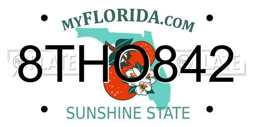8THO842 Florida License Plate