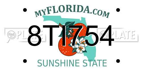 8TI754 Florida License Plate
