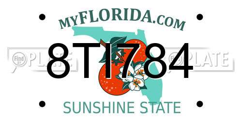 8TI784 Florida License Plate
