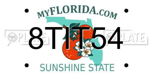 8TIT54 Florida License Plate