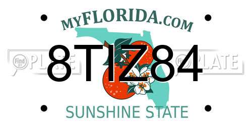 8TIZ84 Florida License Plate