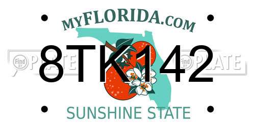 8TK142 Florida License Plate