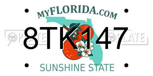 8TK147 Florida License Plate