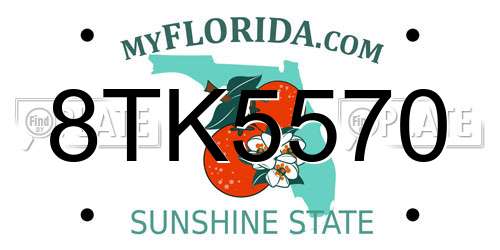8TK5570 Florida License Plate