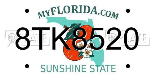 8TK8520 Florida License Plate