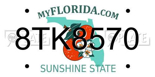 8TK8570 Florida License Plate