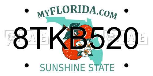 8TKB520 Florida License Plate