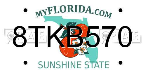 8TKB570 Florida License Plate