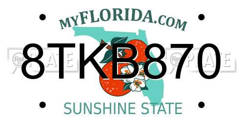 8TKB870 Florida License Plate