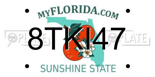 8TKI47 Florida License Plate