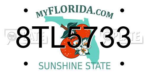 8TL5733 Florida License Plate
