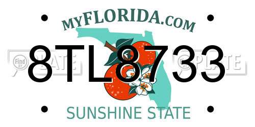 8TL8733 Florida License Plate