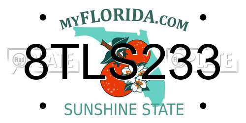 8TLS233 Florida License Plate