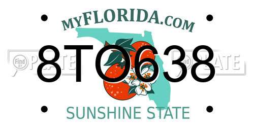 8TO638 Florida License Plate