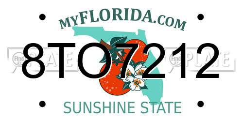 8TO7212 Florida License Plate