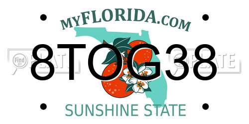 8TOG38 Florida License Plate