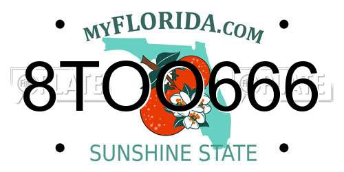 8TOO666 Florida License Plate