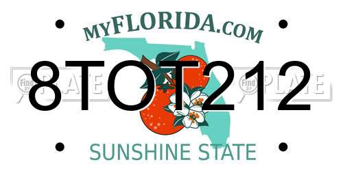 8TOT212 Florida License Plate