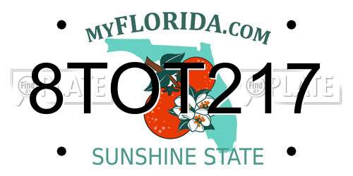 8TOT217 Florida License Plate