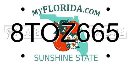 8TOZ665 Florida License Plate