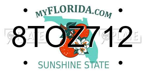 8TOZ712 Florida License Plate