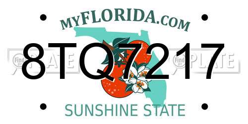 8TQ7217 Florida License Plate