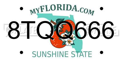 8TQQ666 Florida License Plate