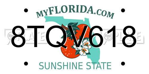 8TQV618 Florida License Plate