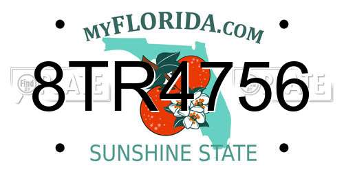 8TR4756 Florida License Plate
