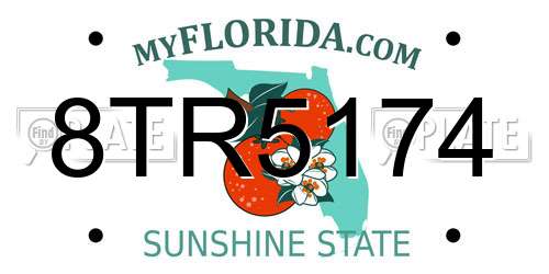 8TR5174 Florida License Plate