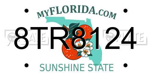 8TR8124 Florida License Plate