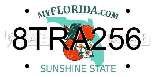 8TRA256 Florida License Plate