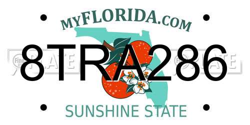 8TRA286 Florida License Plate