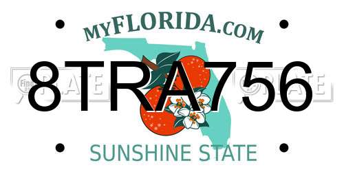 8TRA756 Florida License Plate