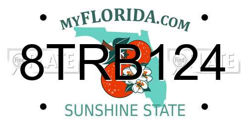 8TRB124 Florida License Plate