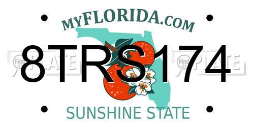 8TRS174 Florida License Plate