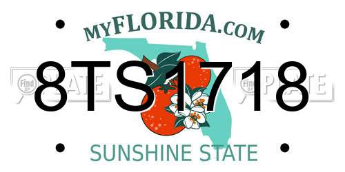 8TS1718 Florida License Plate
