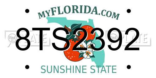 8TS2392 Florida License Plate