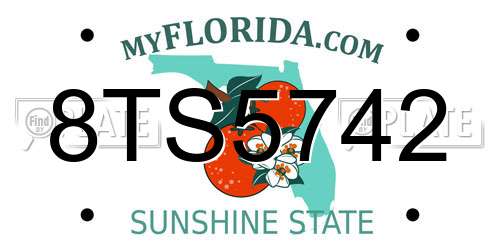 8TS5742 Florida License Plate