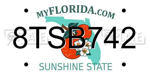 8TSB742 Florida License Plate