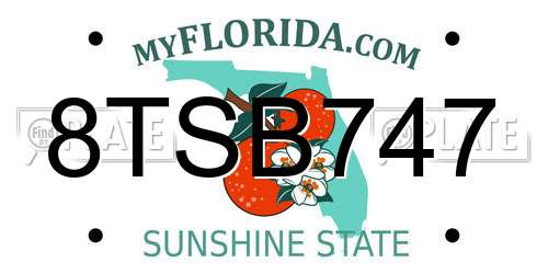 8TSB747 Florida License Plate