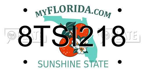 8TSI218 Florida License Plate