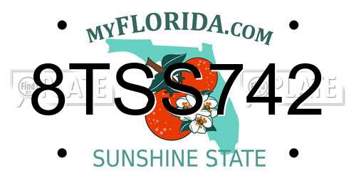 8TSS742 Florida License Plate