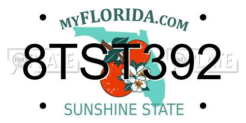 8TST392 Florida License Plate