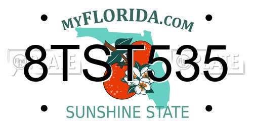 8TST535 Florida License Plate