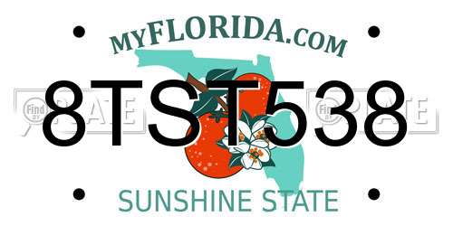 8TST538 Florida License Plate