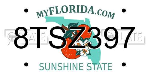 8TSZ397 Florida License Plate