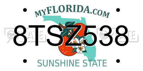 8TSZ538 Florida License Plate