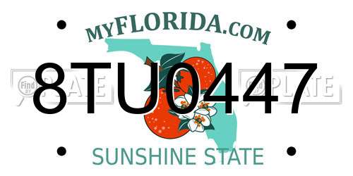 8TU0447 Florida License Plate