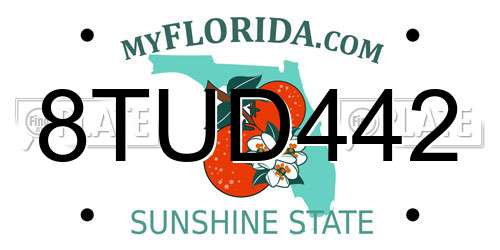 8TUD442 Florida License Plate